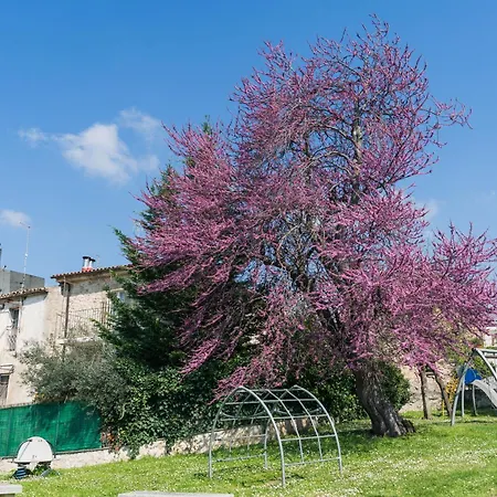 بيت للعطل Casa Filomena - Historic With Modern Comforts